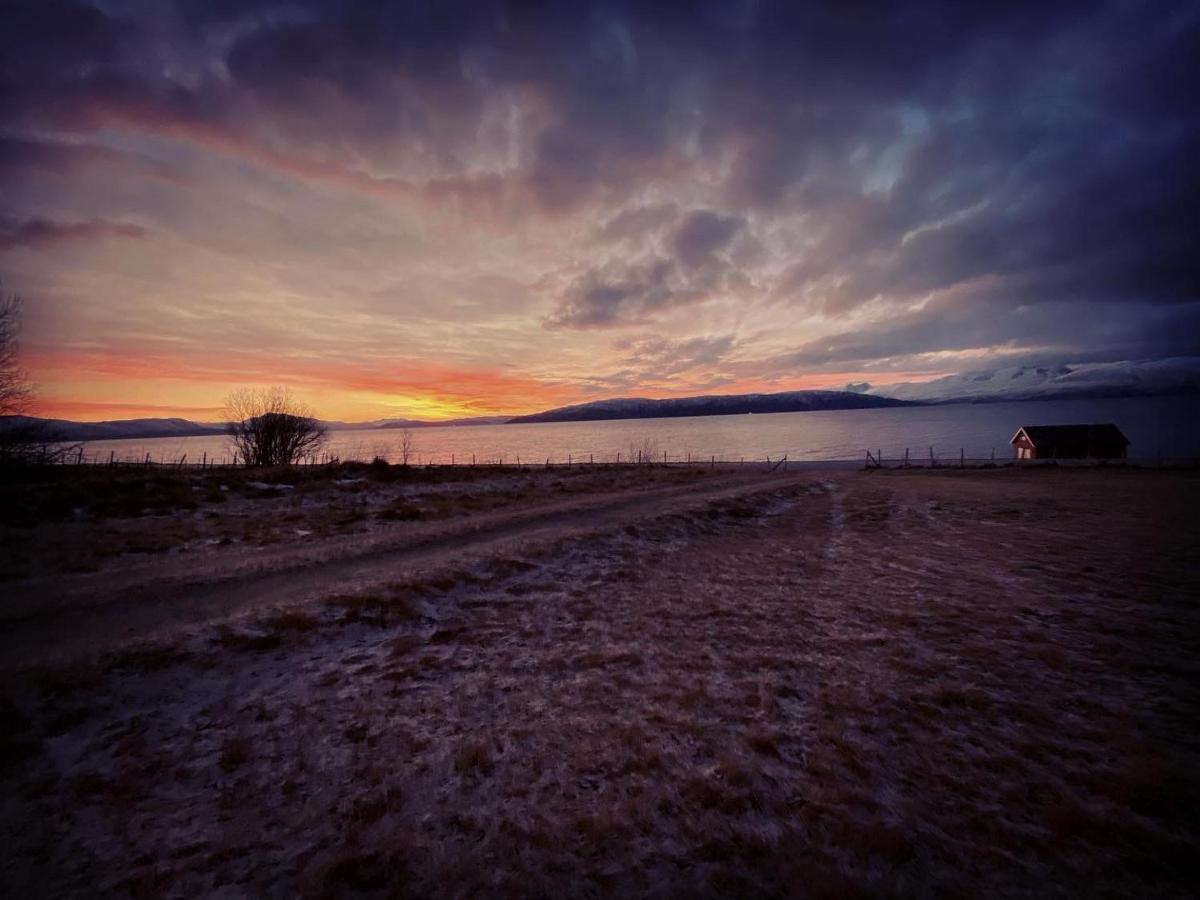 Unique And Charming Holiday Home With Fantastic Sea Views Tromsø Exteriér fotografie