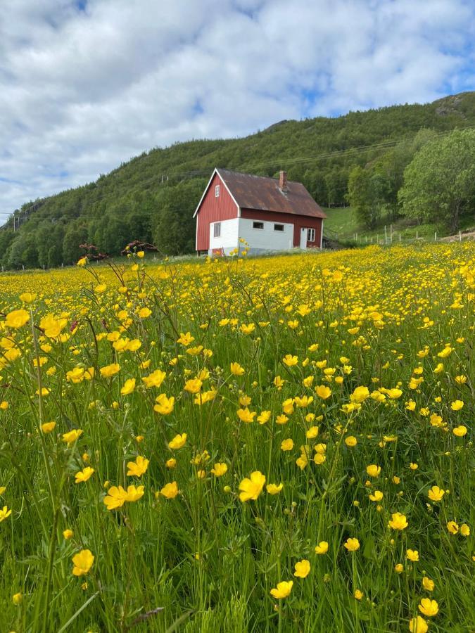 Unique And Charming Holiday Home With Fantastic Sea Views Tromsø Exteriér fotografie