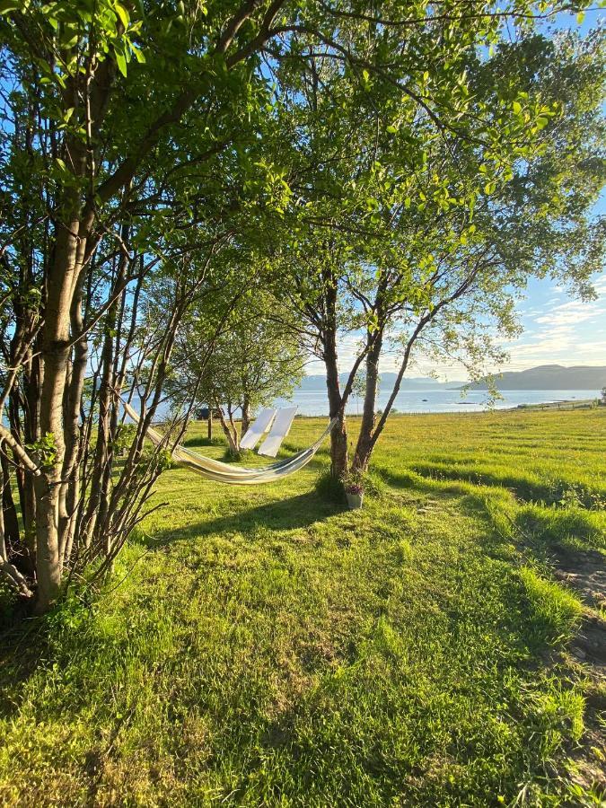 Unique And Charming Holiday Home With Fantastic Sea Views Tromsø Exteriér fotografie