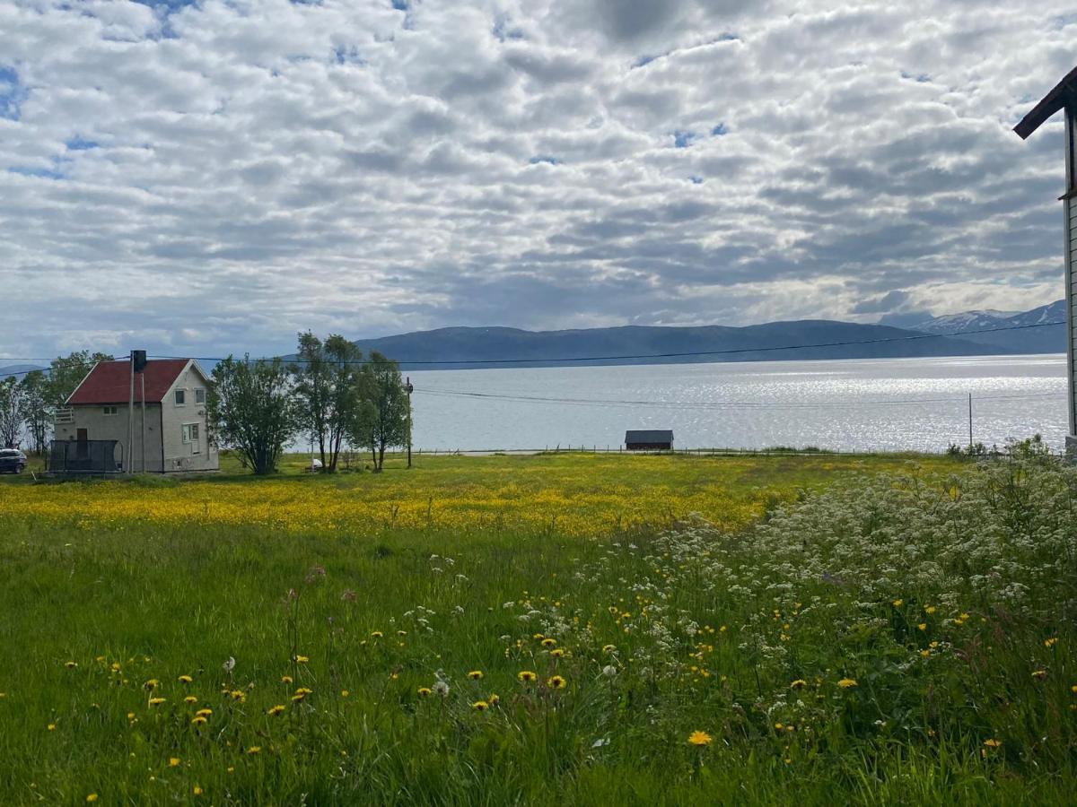 Unique And Charming Holiday Home With Fantastic Sea Views Tromsø Exteriér fotografie