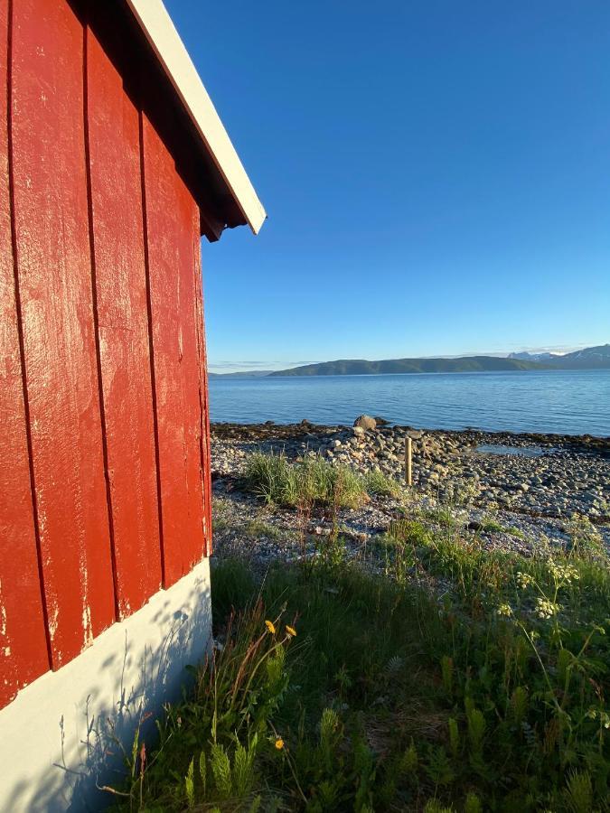 Unique And Charming Holiday Home With Fantastic Sea Views Tromsø Exteriér fotografie