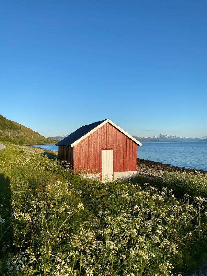 Unique And Charming Holiday Home With Fantastic Sea Views Tromsø Exteriér fotografie