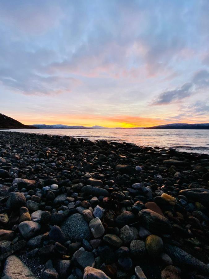 Unique And Charming Holiday Home With Fantastic Sea Views Tromsø Exteriér fotografie