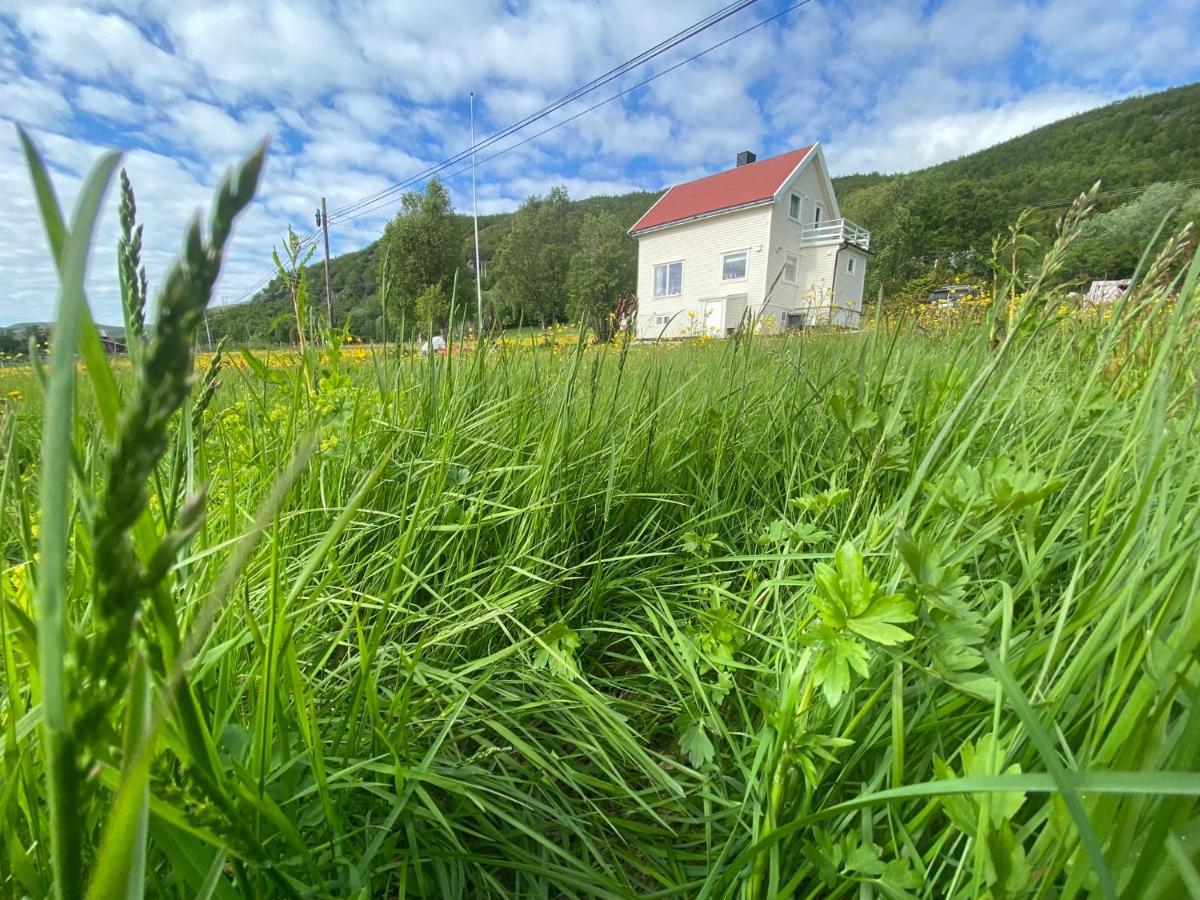 Unique And Charming Holiday Home With Fantastic Sea Views Tromsø Exteriér fotografie