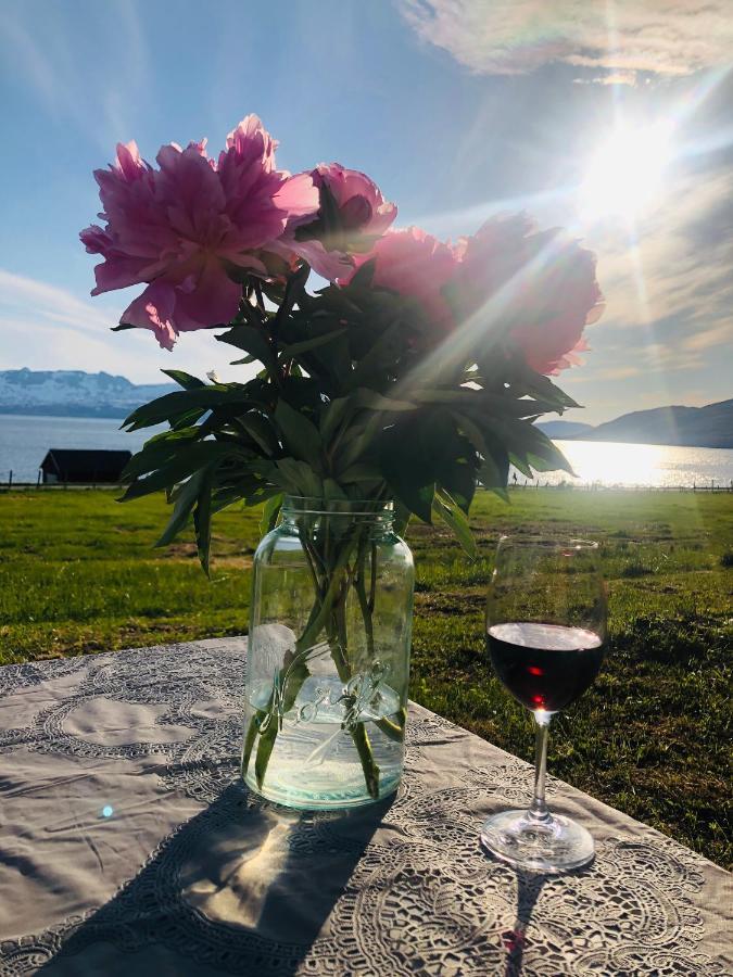 Unique And Charming Holiday Home With Fantastic Sea Views Tromsø Exteriér fotografie