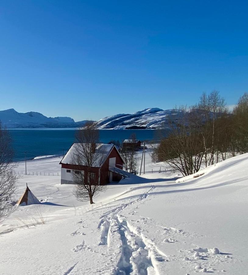 Unique And Charming Holiday Home With Fantastic Sea Views Tromsø Exteriér fotografie