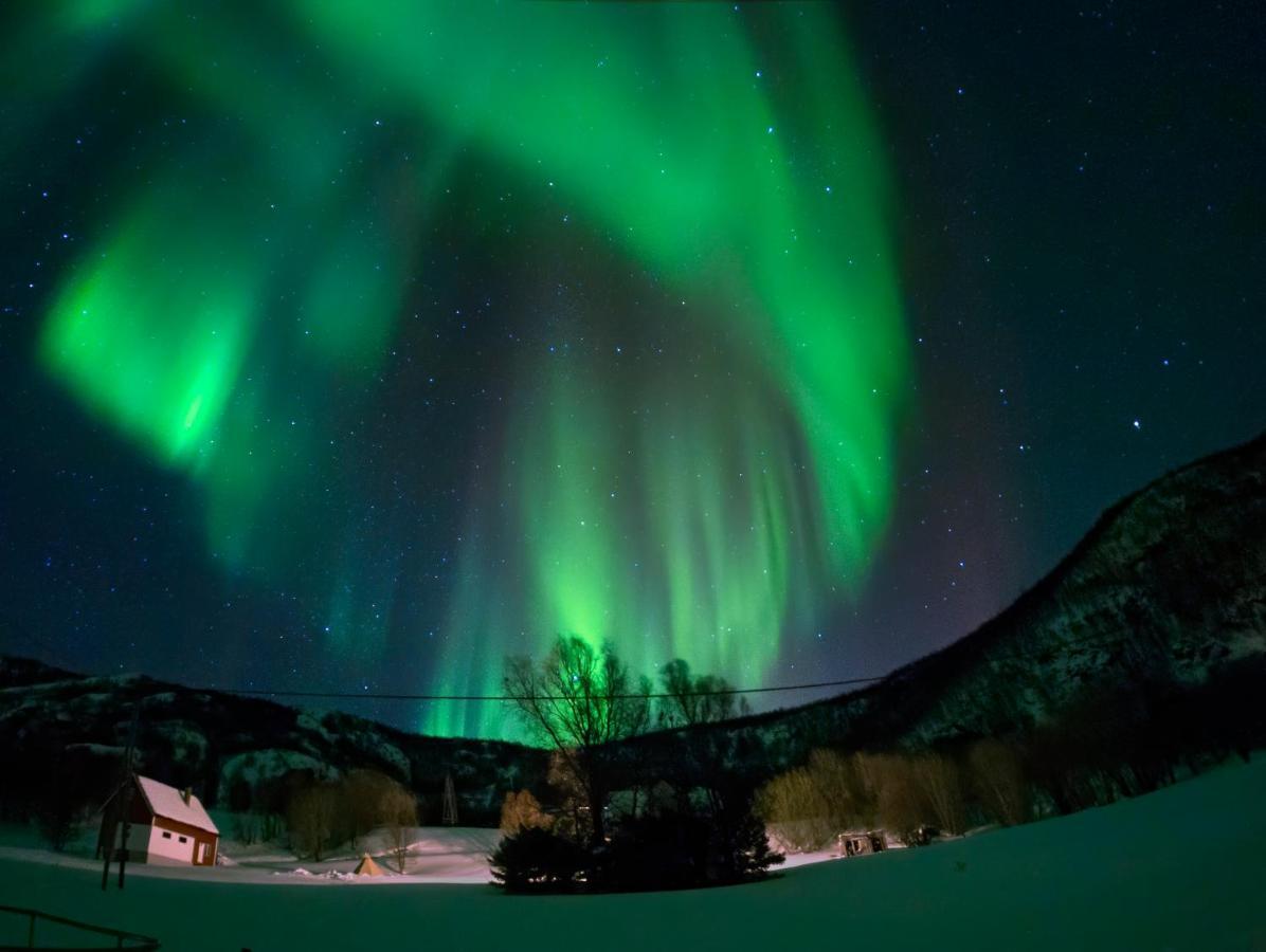 Unique And Charming Holiday Home With Fantastic Sea Views Tromsø Exteriér fotografie